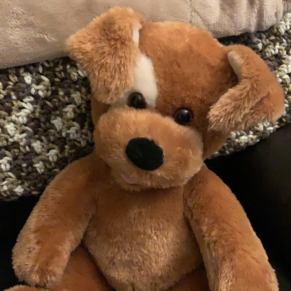 Build a bear classic dog - EUC!! $20! - Picture 2 of 8